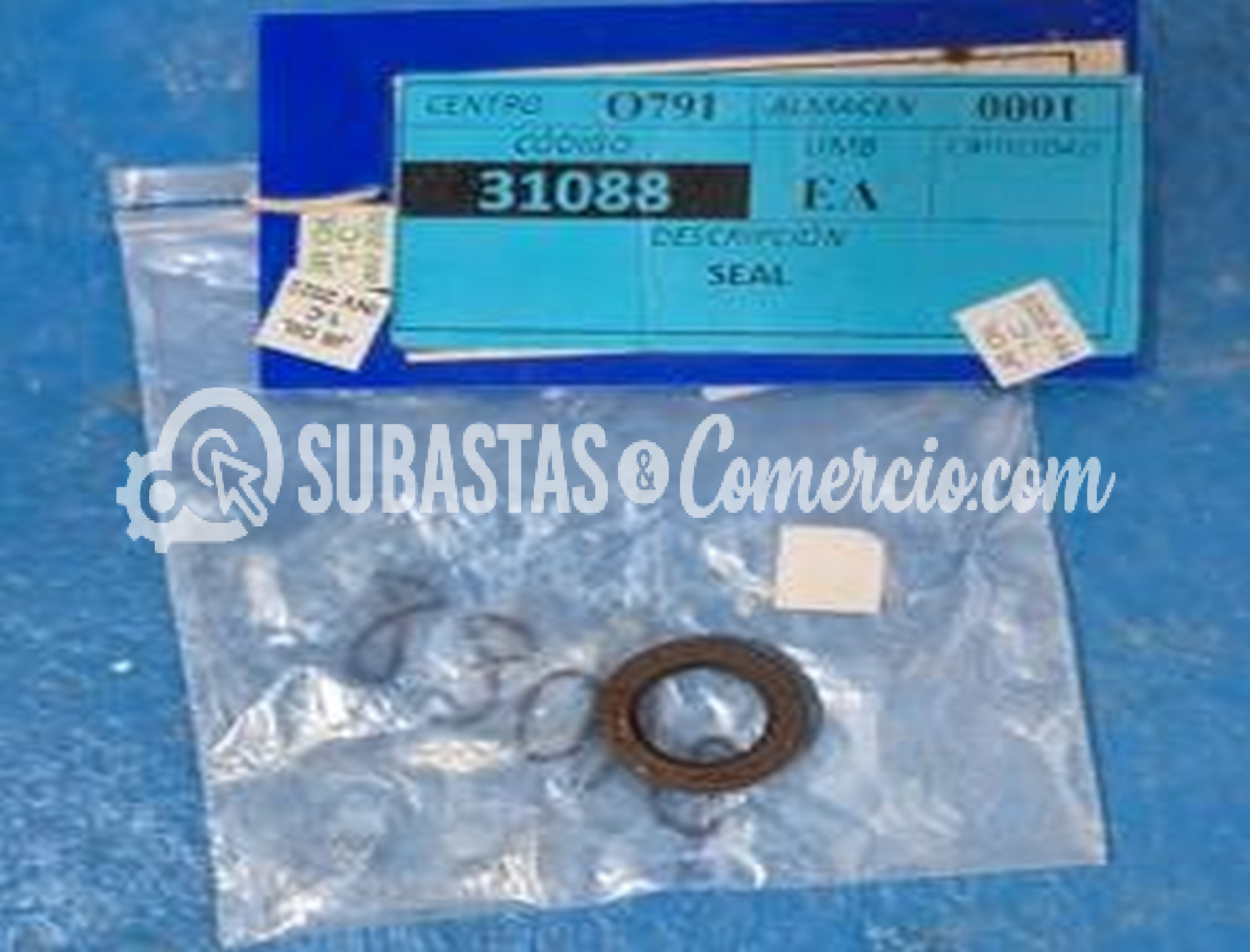 image cicuco1 (1).JPG